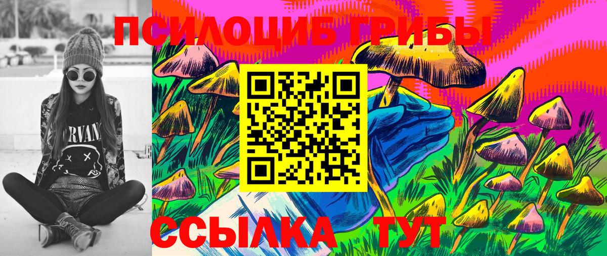 Псилоцибиновые грибы прущие грибы Киров